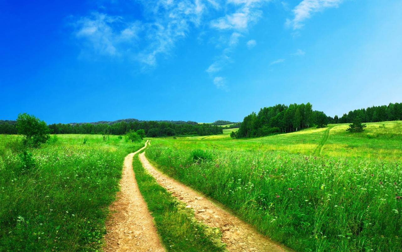 1280x804 Summer Meadow & Road wallpaper. Summer Meadow & Road