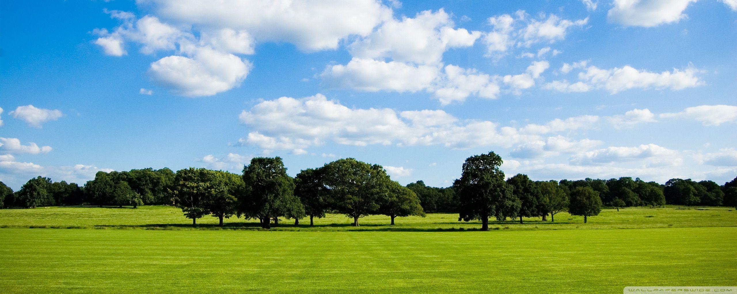 2560x1024 Peaceful Meadow Wallpaper, HD Peaceful Meadow Background on WallpaperBat