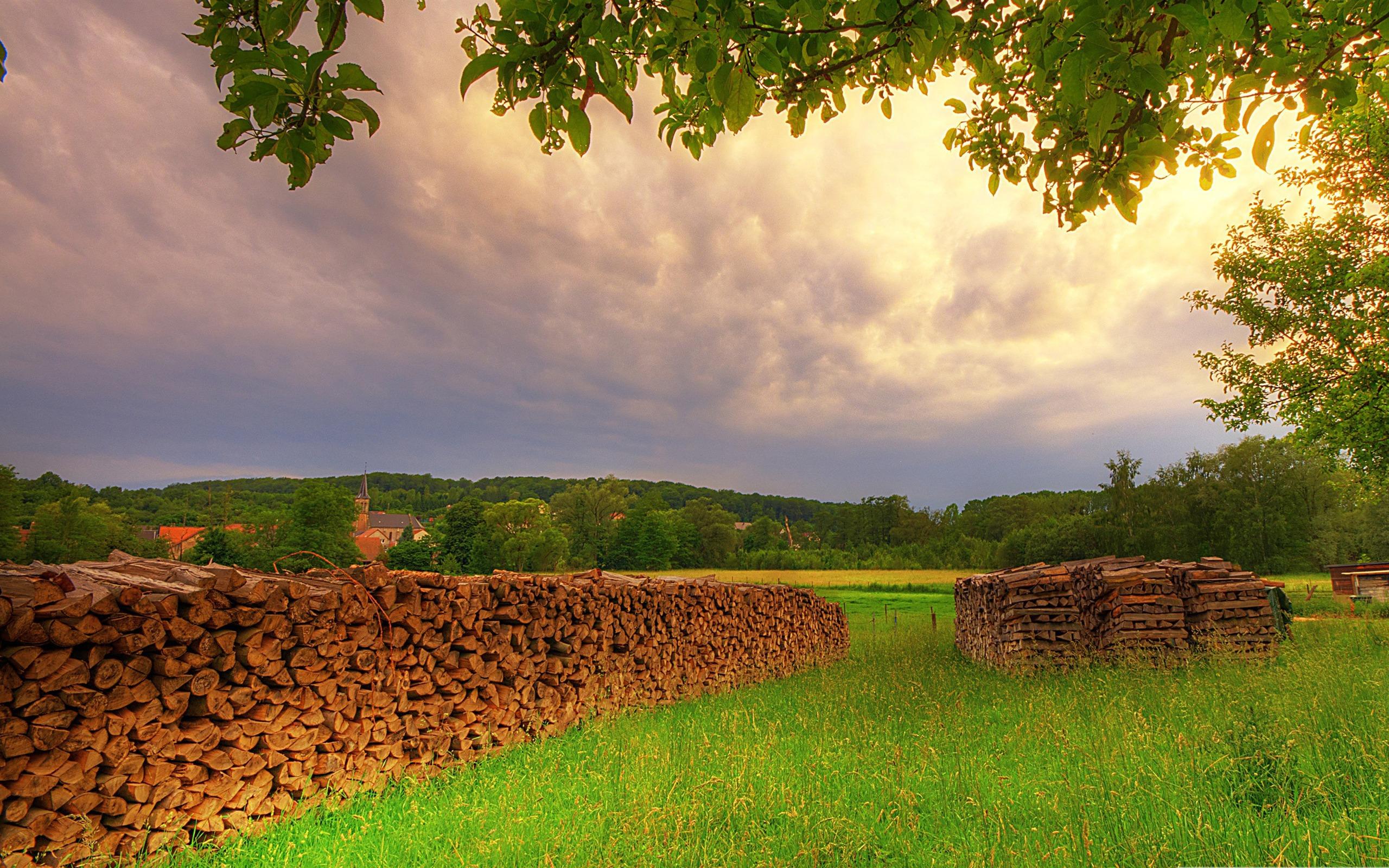 2560x1600 Summer Meadow HD Wallpaper