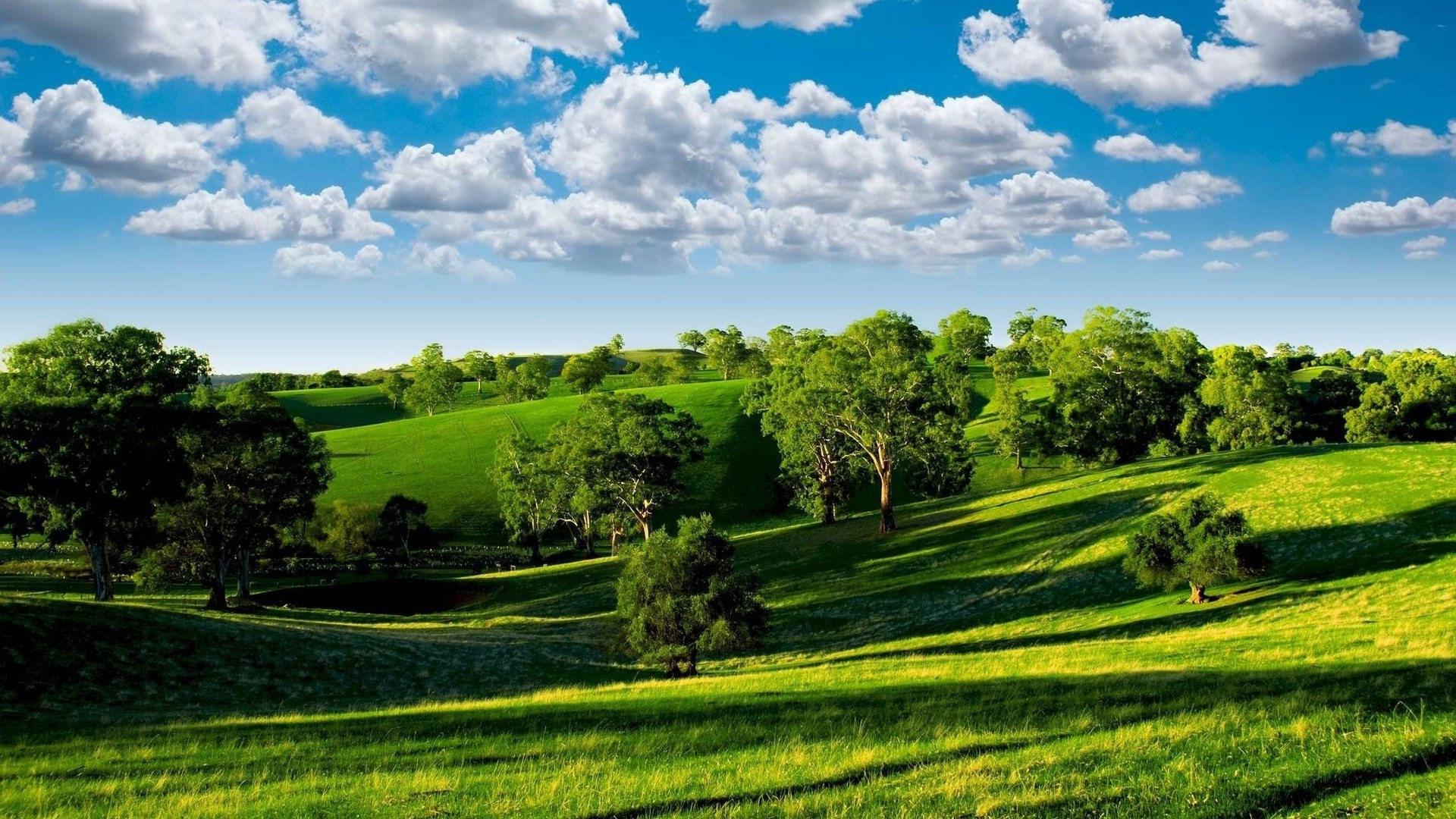 1920x1080 Summer Field Meadow Trees Sky Clouds Wallpaper [1920x1080]
