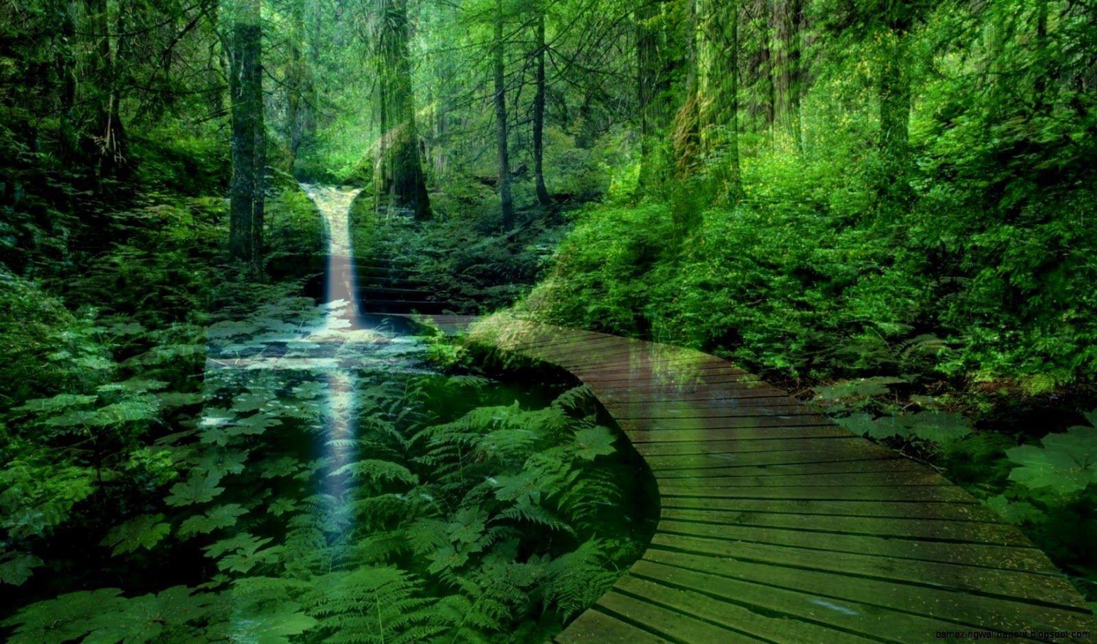 1600x940 Forest Landscape Wallpaper