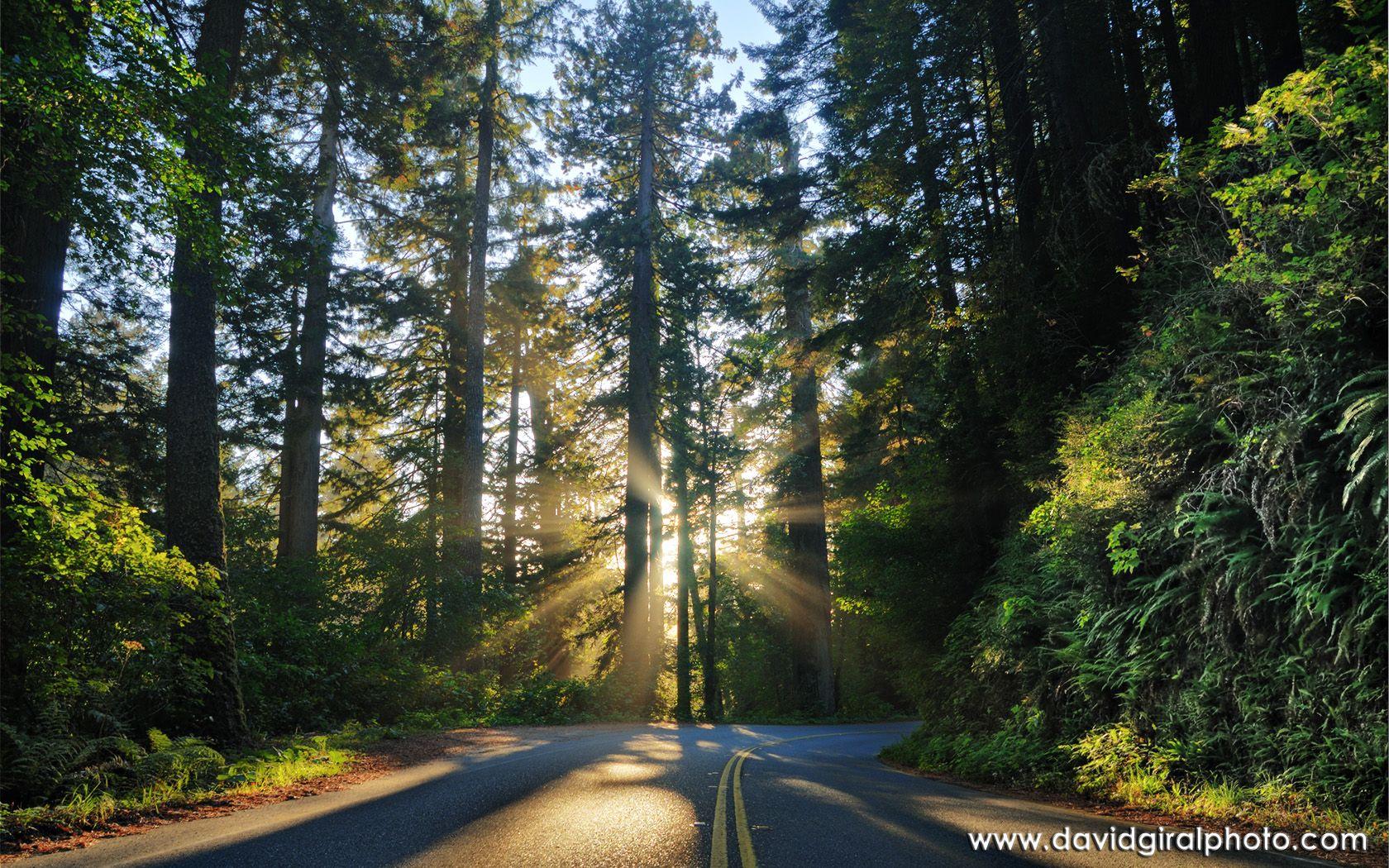 1680x1050 From San Francisco to Vancouver: The Blissful road to happiness