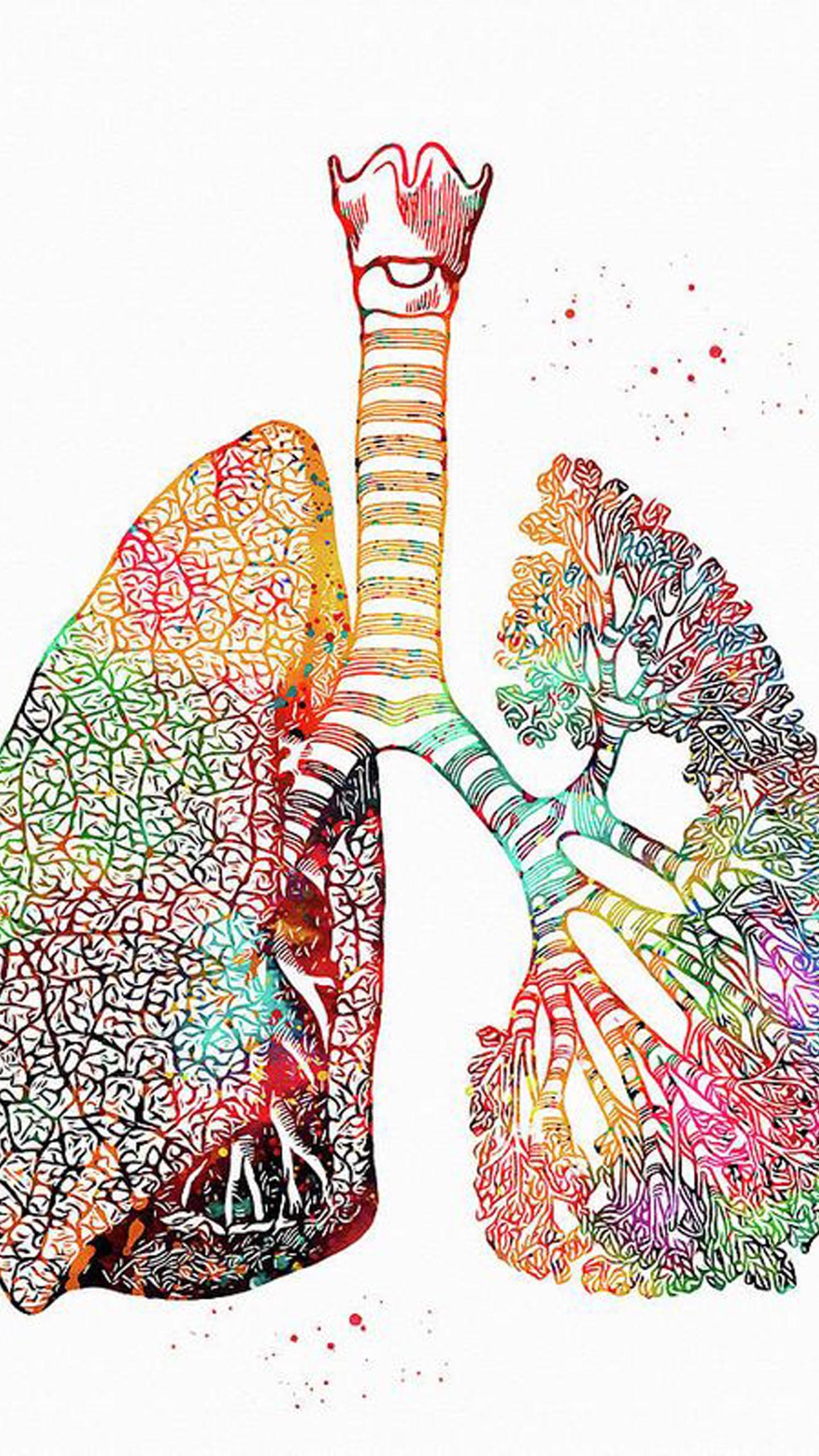 1440x2560 Art Of Lungs In White Background HD Medical Art Wallpaper