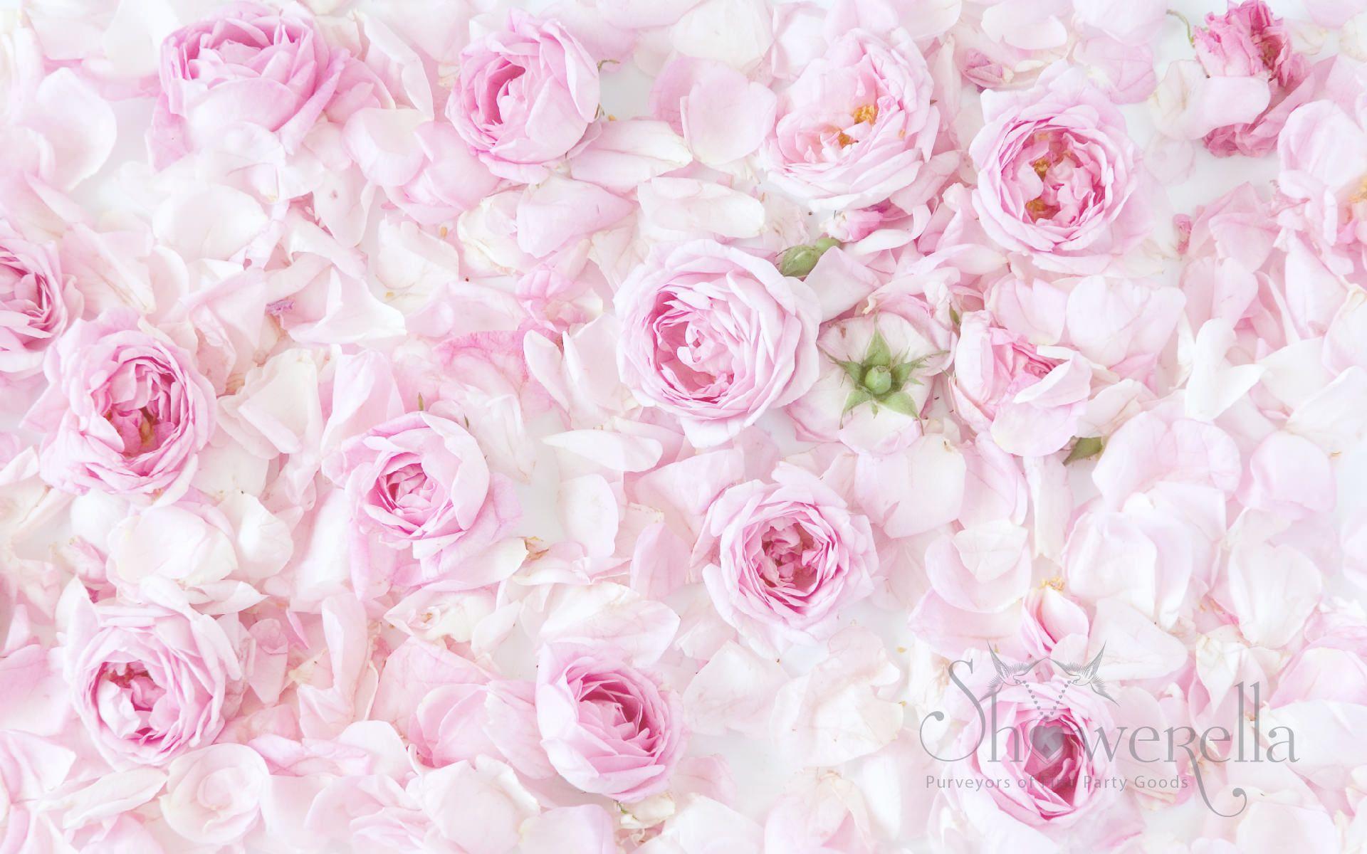 1920x1200 English Wallpaper