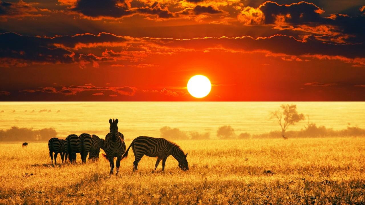 1280x720 Sunset African Savanna K Wallpaper 3D Models. Free