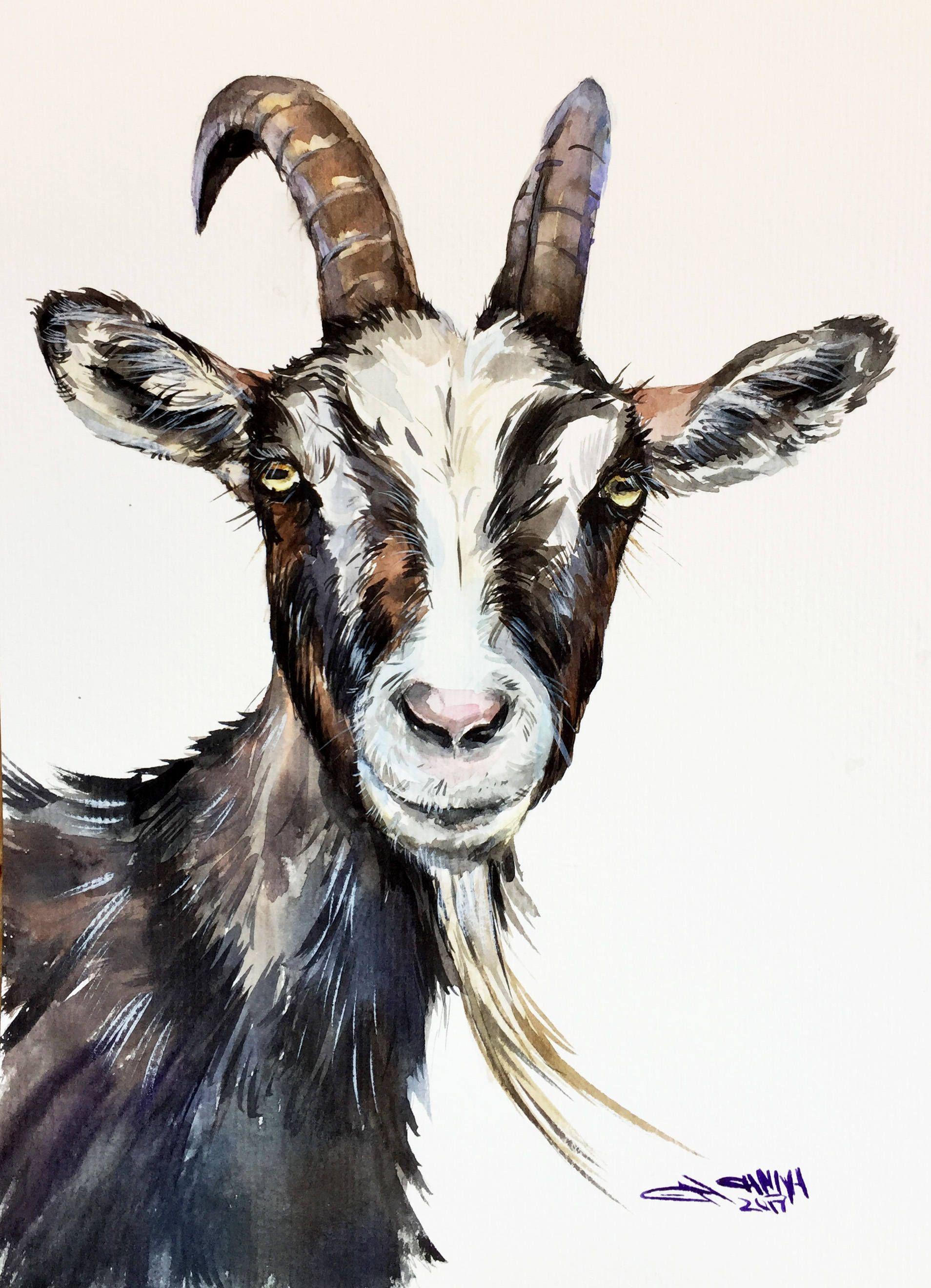 1908x2640 Goat faced portrait, goat art, farm animal portrait, goat decor ORIGINAL WATERCOLOR PAINTING by alisiasilverART on Ets. Goat art, Goat paintings, Animal paintings