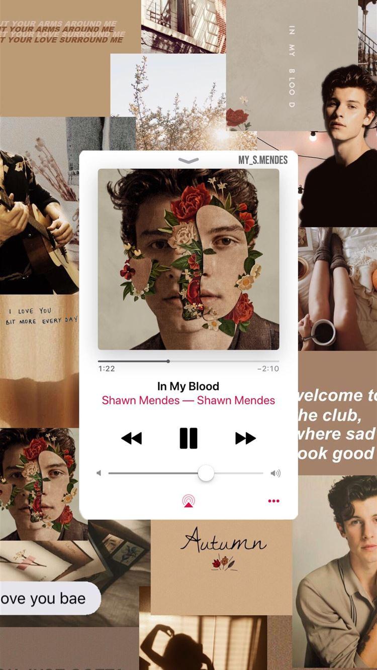 750x1334 Best SHAWN MENDES❤️ image iPhone 8 Wallpaper Free Download