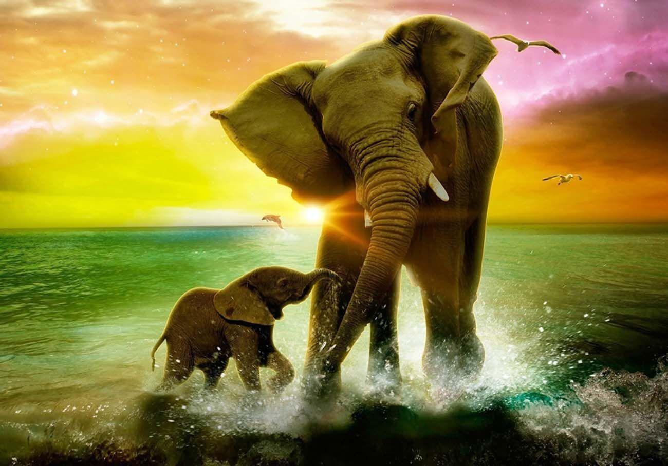 1300x908 Cute Elephant Wallpaper, HD Cute Elephant Background