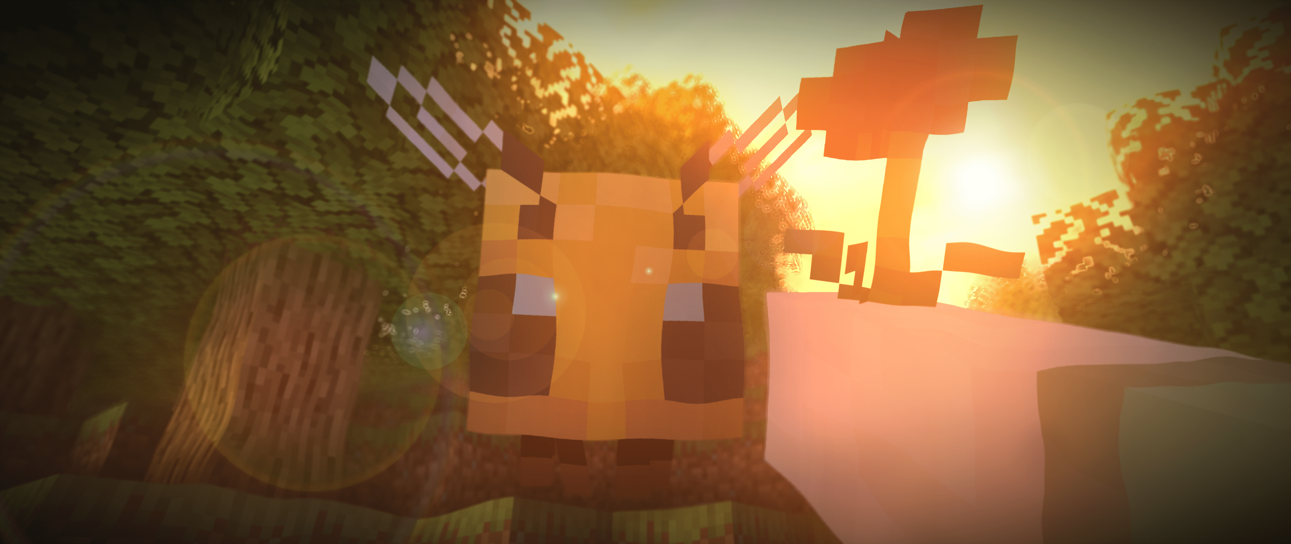 Minecraft Bee Wallpapers  Top Free Minecraft Bee Backgrounds   WallpaperAccess