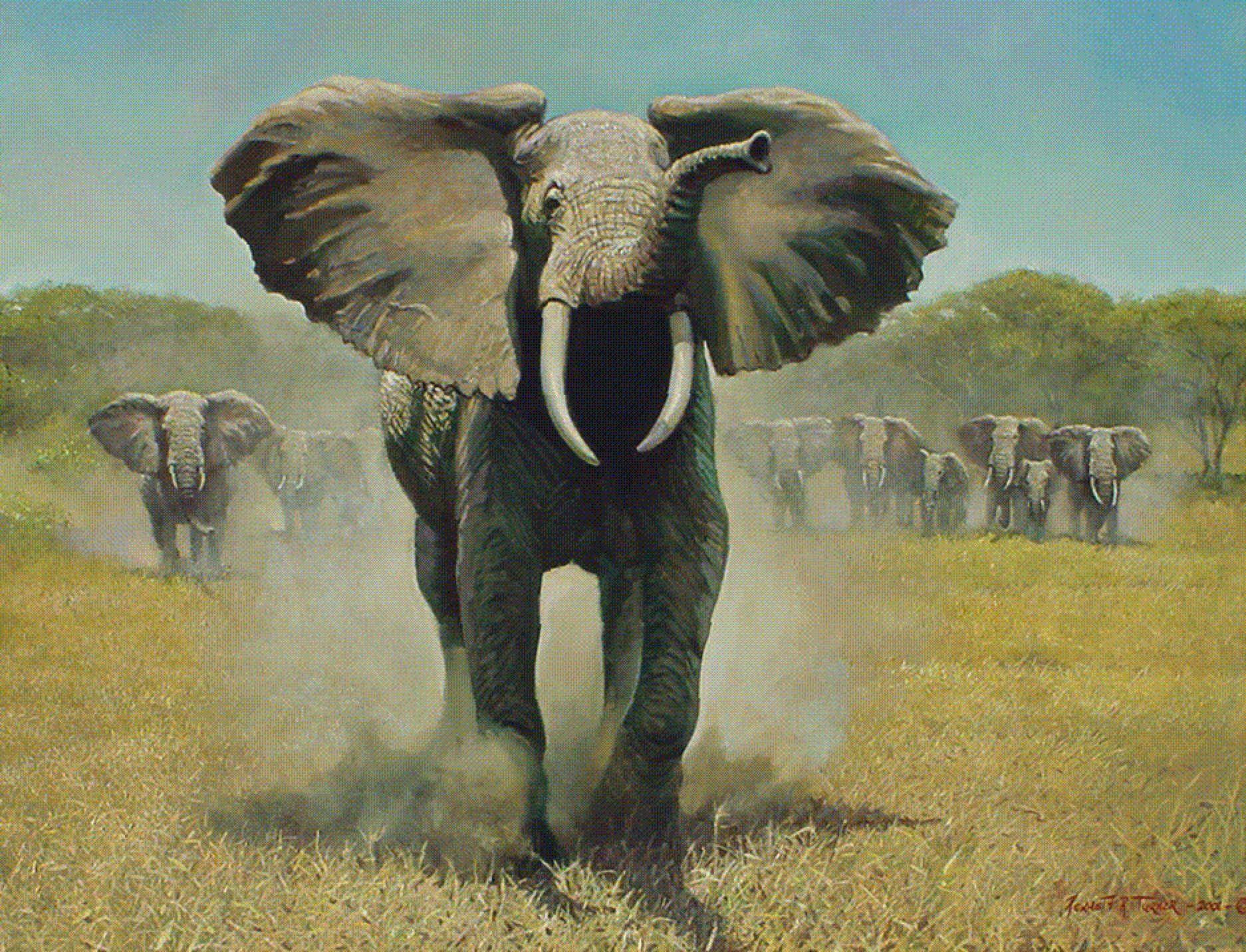 1874x1432 Mobile HD Elephant Wallpaper