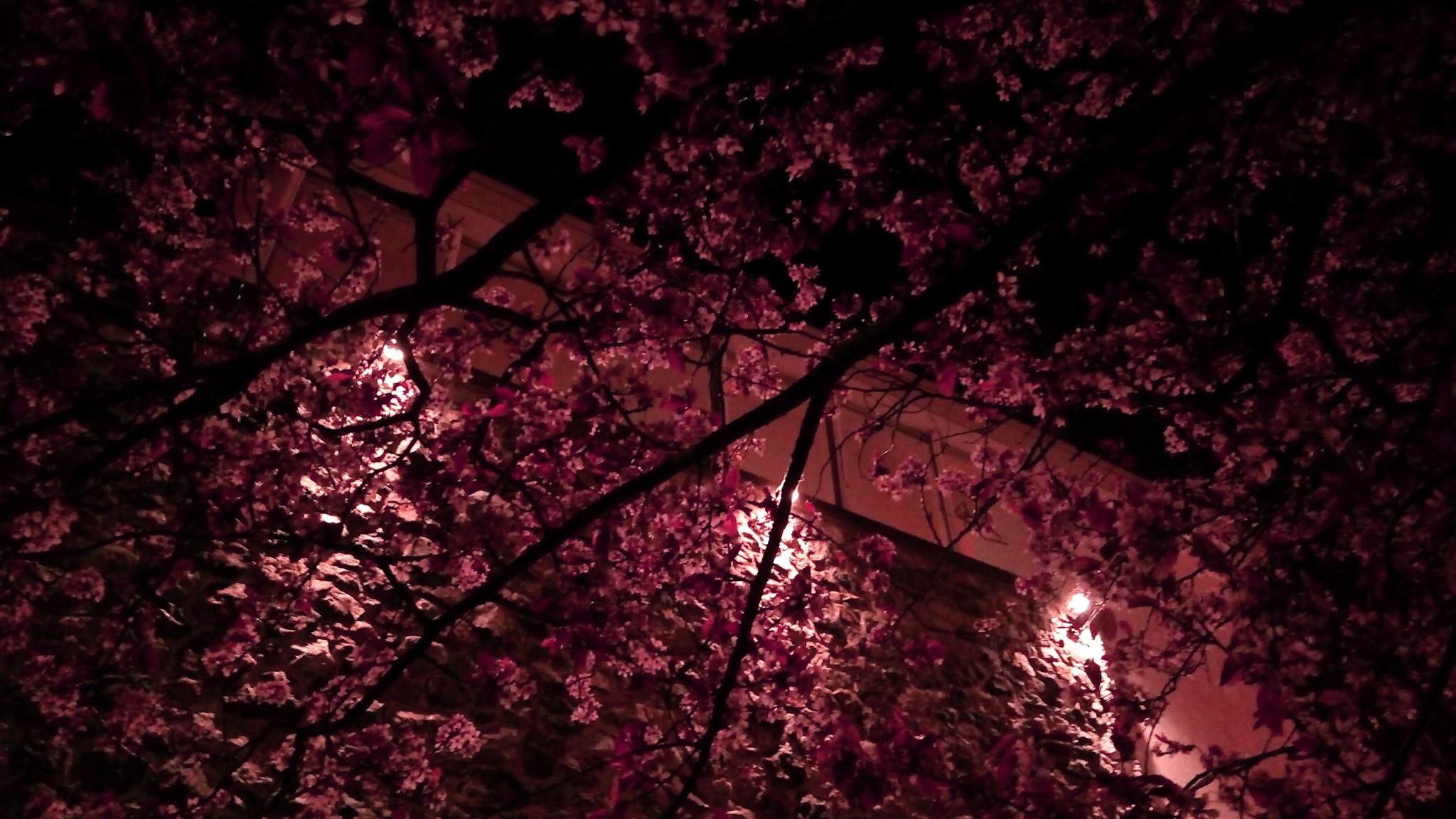 2048x1152 night aesthetic on Tumblr