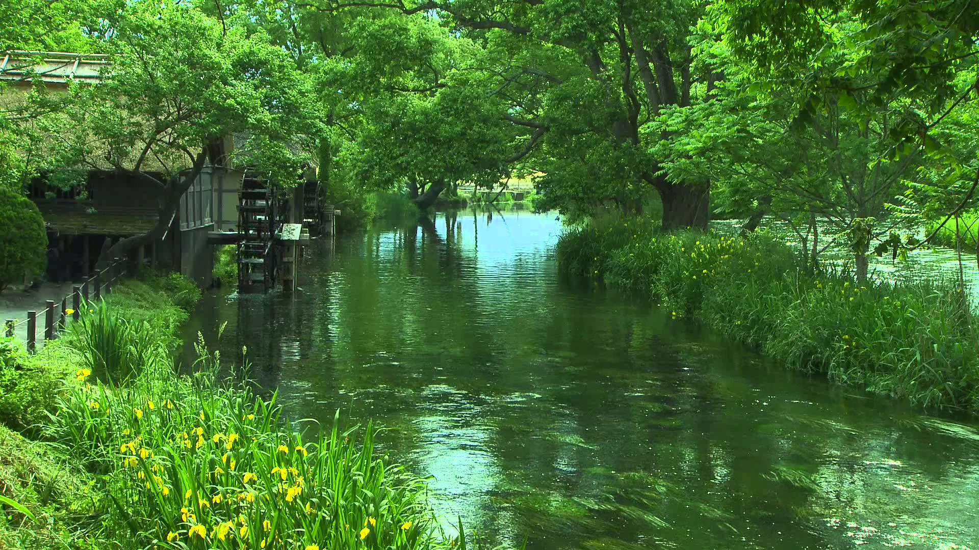 1920x1080 Relaxing Nature Wallpaper Free Relaxing Nature Wallpaper Background