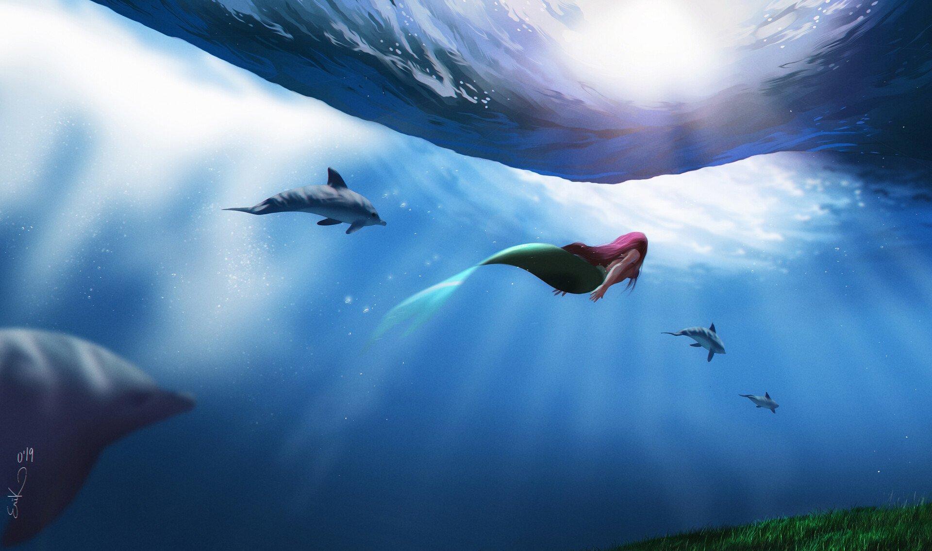 1920x1135 Ariel Swimming with Dolphins HD Wallpaper