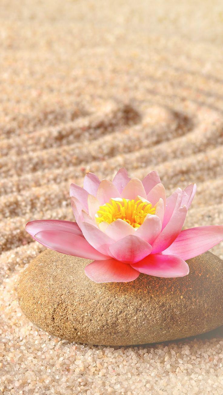 736x1305 Luciana Brux - #Brux #Luciana. Zen wallpaper, Beautiful wallpaper, Flower wallpaper