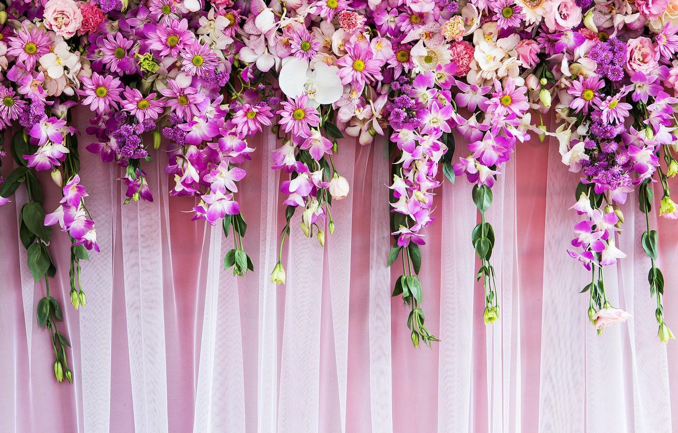 1332x850 Wallpaper flowers, background, roses, pink, buds, pink, flowers, purple, roses, bud image for desktop, section цветы