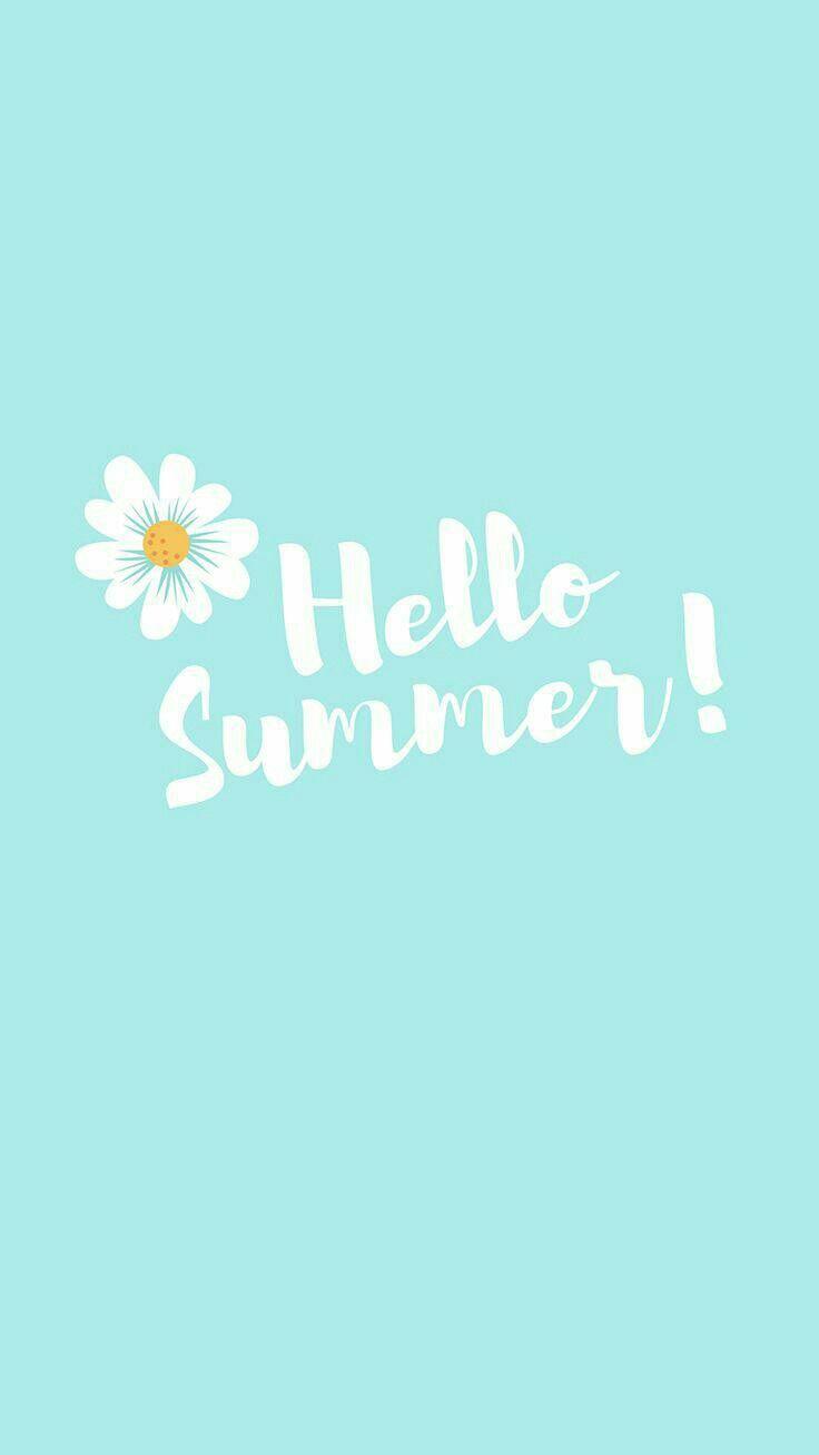 736x1308 Wallpaper, Summer lockscreen. iPhone 7 plus wallpaper, Wallpaper iphone summer, iPhone 7 wallpaper