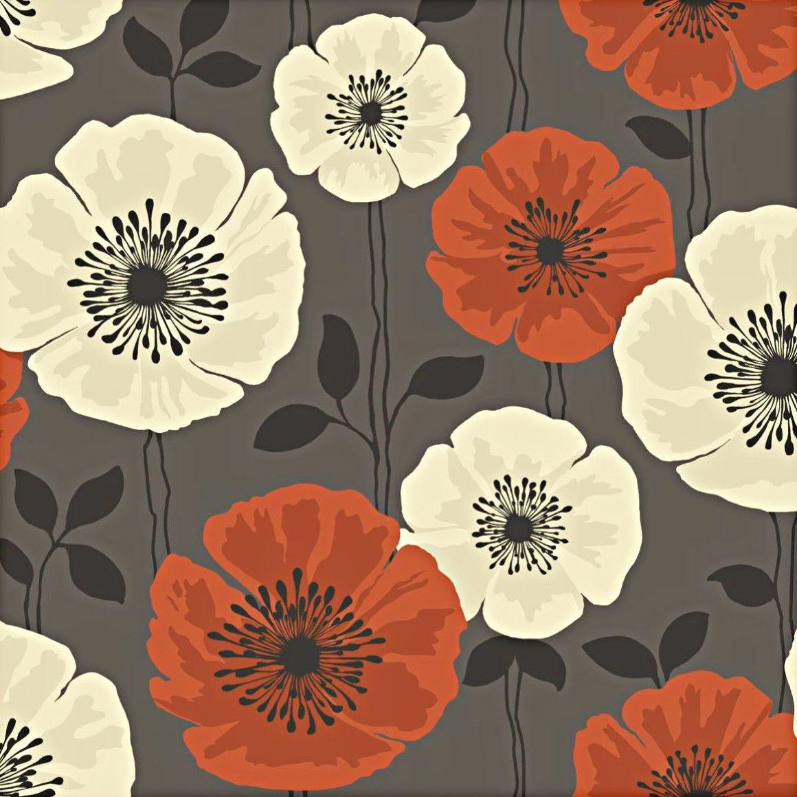 Orange Poppy Wallpapers - Top Free Orange Poppy Backgrounds