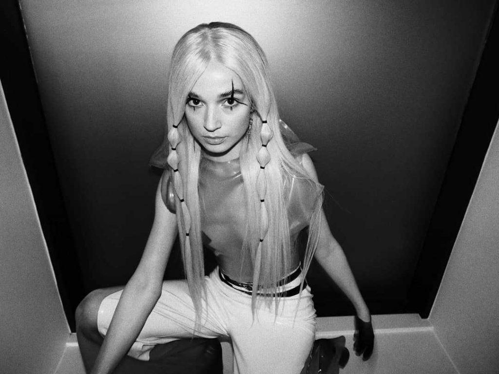 1024x768 and Hot Poppy Picture