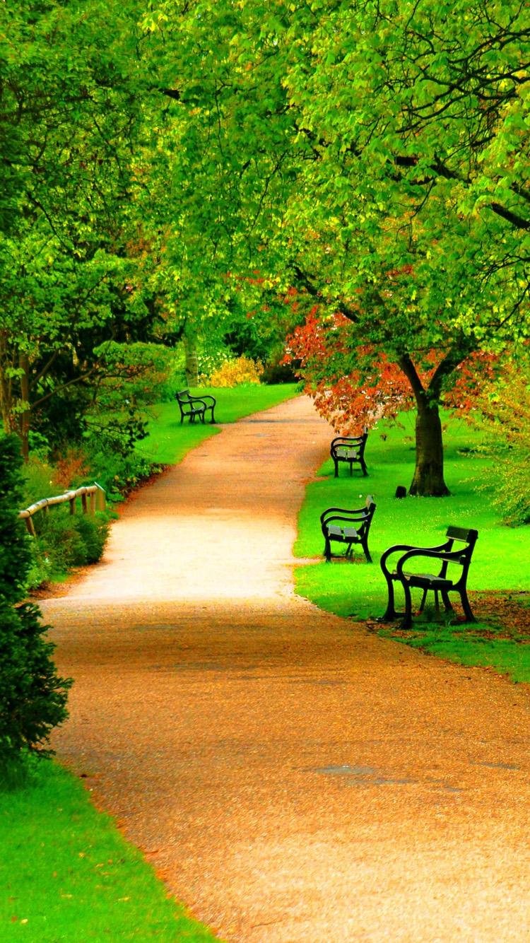 750x1334 Free download Greenview Forest Park iPhone 6 Wallpaper HD iPhone 6 Wallpaper [750x1334] for your Desktop, Mobile & Tablet. Explore iPhone 6 Wallpaper HD Forest. Cool Wallpaper for Phone
