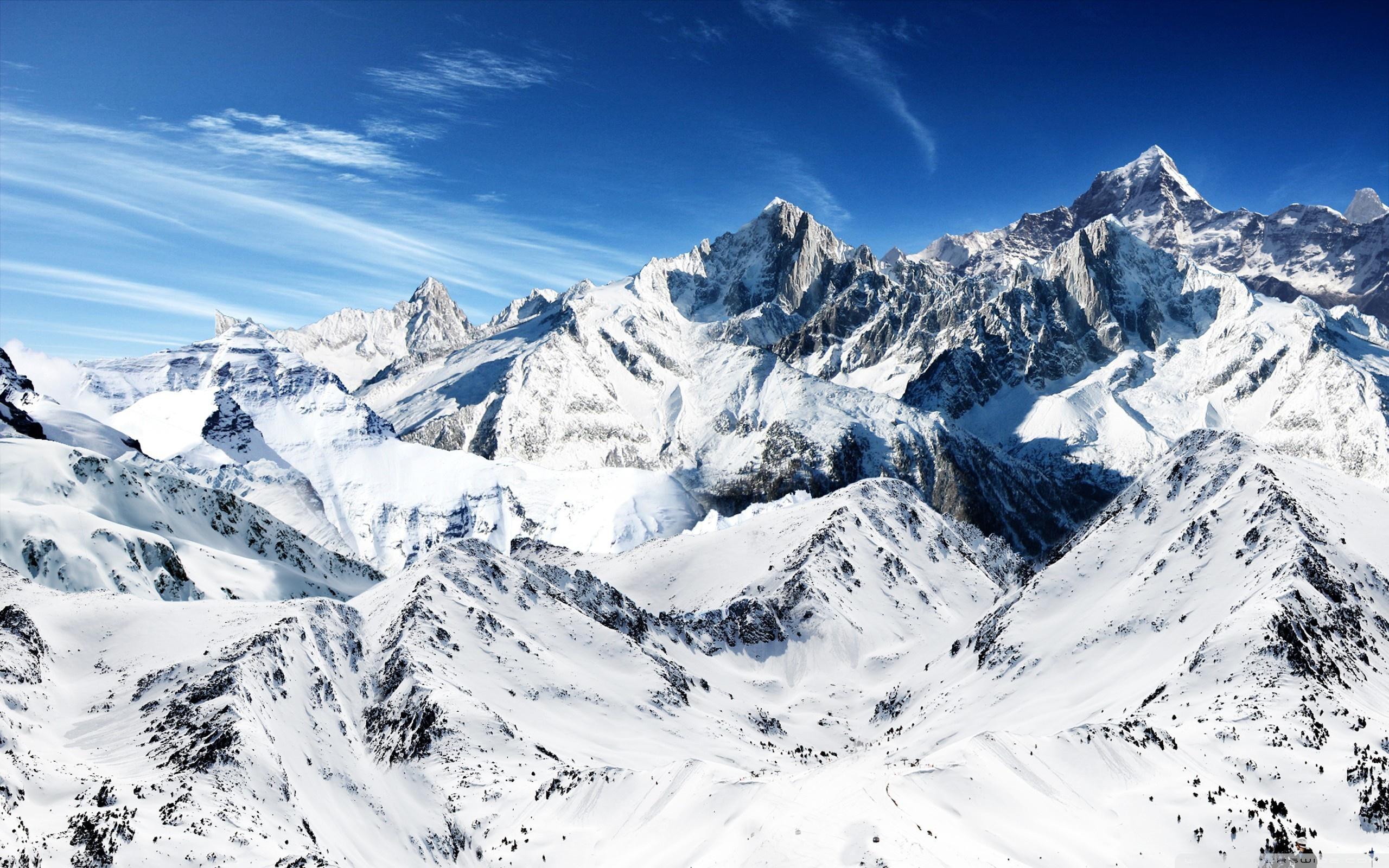 2560x1600 Sharp Wallpaper Group Picture