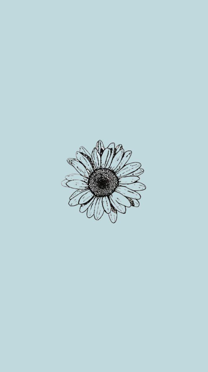 718x1280 Free download iPhone Background Wallpaper Pinterest iPhone Wallpaper [718x1280] for your Desktop, Mobile & Tablet. Explore Pinterest Background Wallpaper, Pinterest Wallpaper, Wallpaper