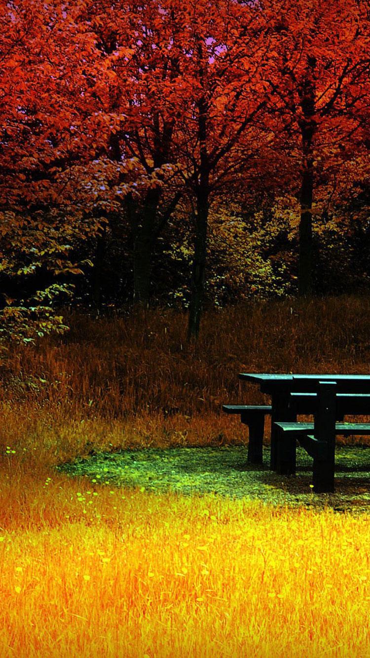 750x1334 Fall iPhone Wallpaper