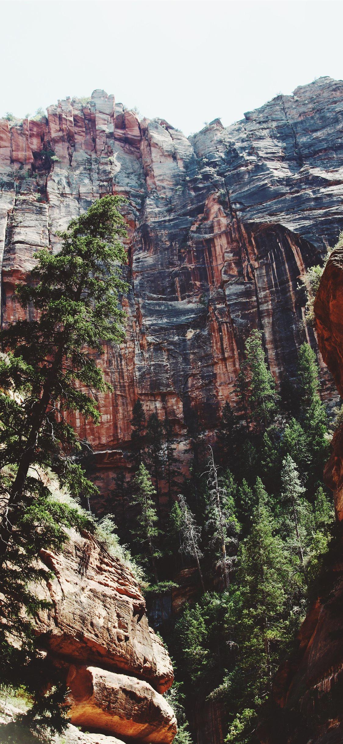 1125x2436 Zion National Park Wallpaper iPhone