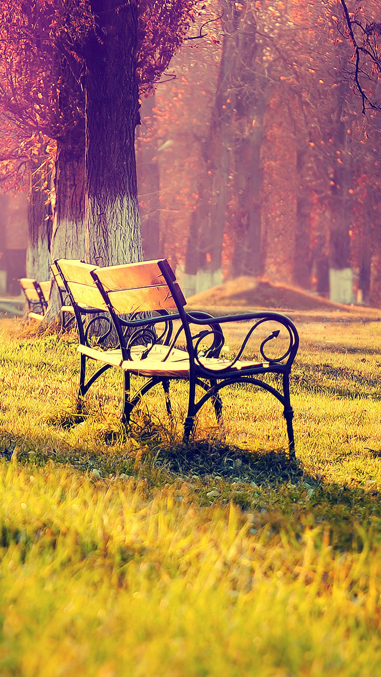 1242x2208 iPhoneXpapers fall park chair lonely nature