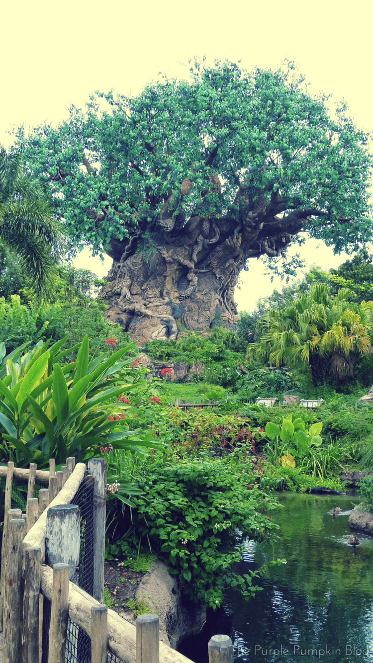 750x1334 Disney Parks iPhone Wallpaper 20/DaysOfDisney