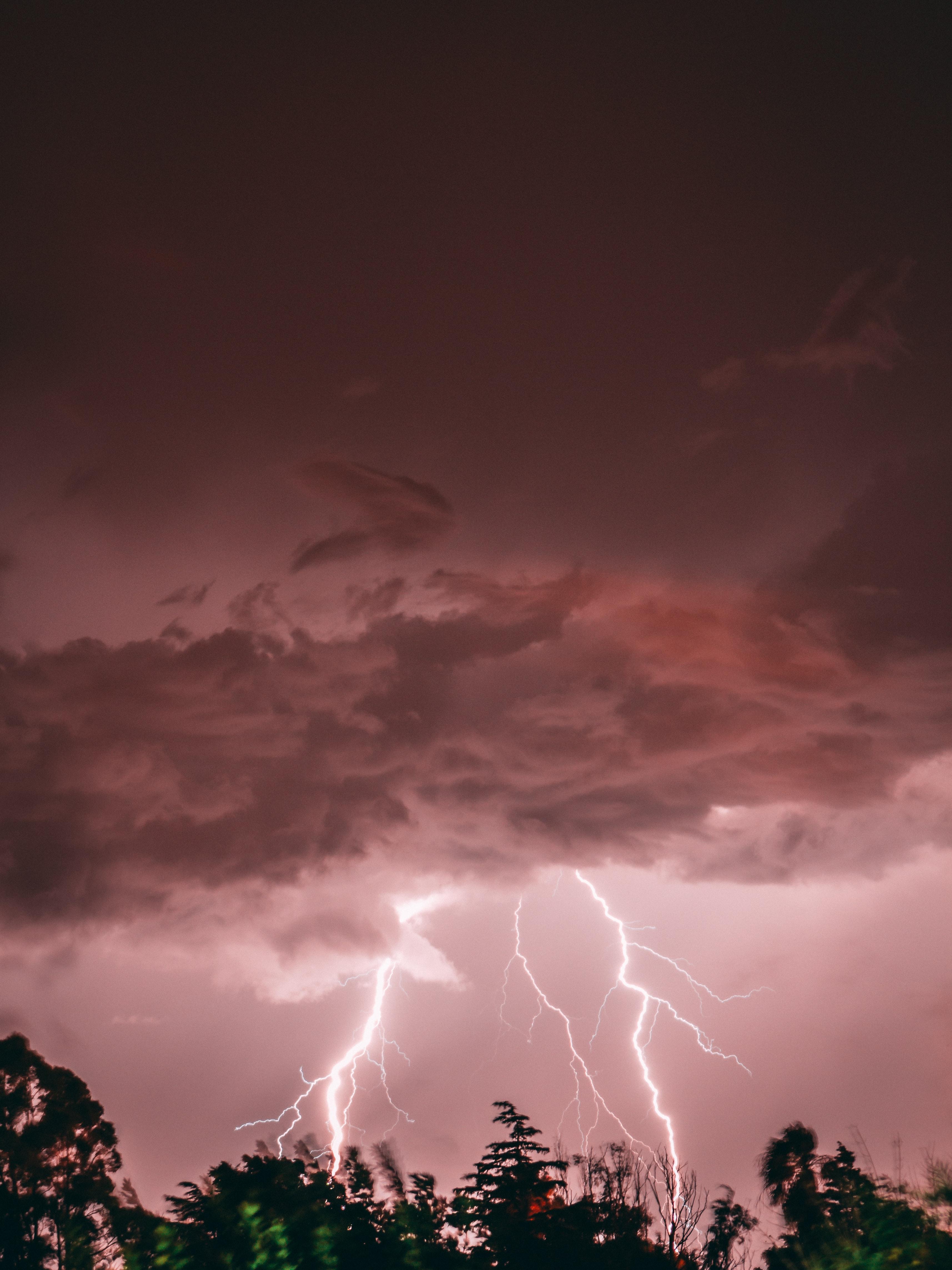 3429x4572 Download wallpaper 3429x4572 lightning, thunderstorm, trees, pink HD background