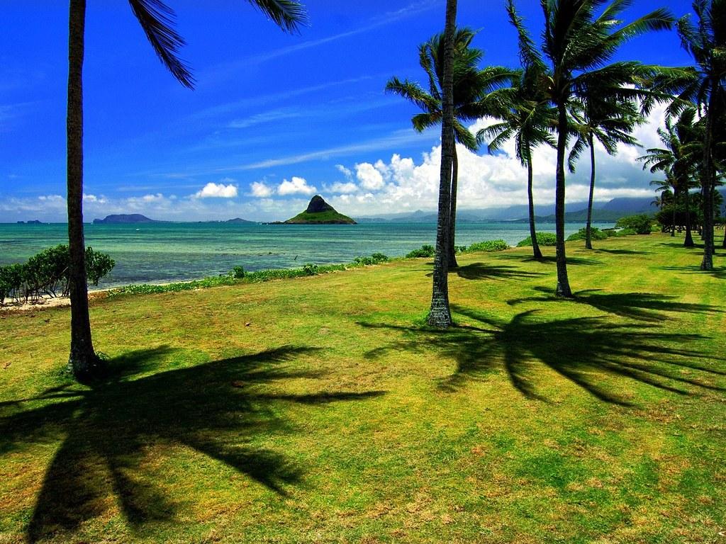 1024x768 Chinamans Hat Oahu Hawaii Beach Wallpaper 1024x768 4441