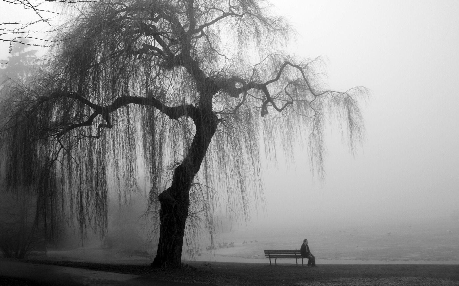 1920x1200 Black And White Photography Desktop Background