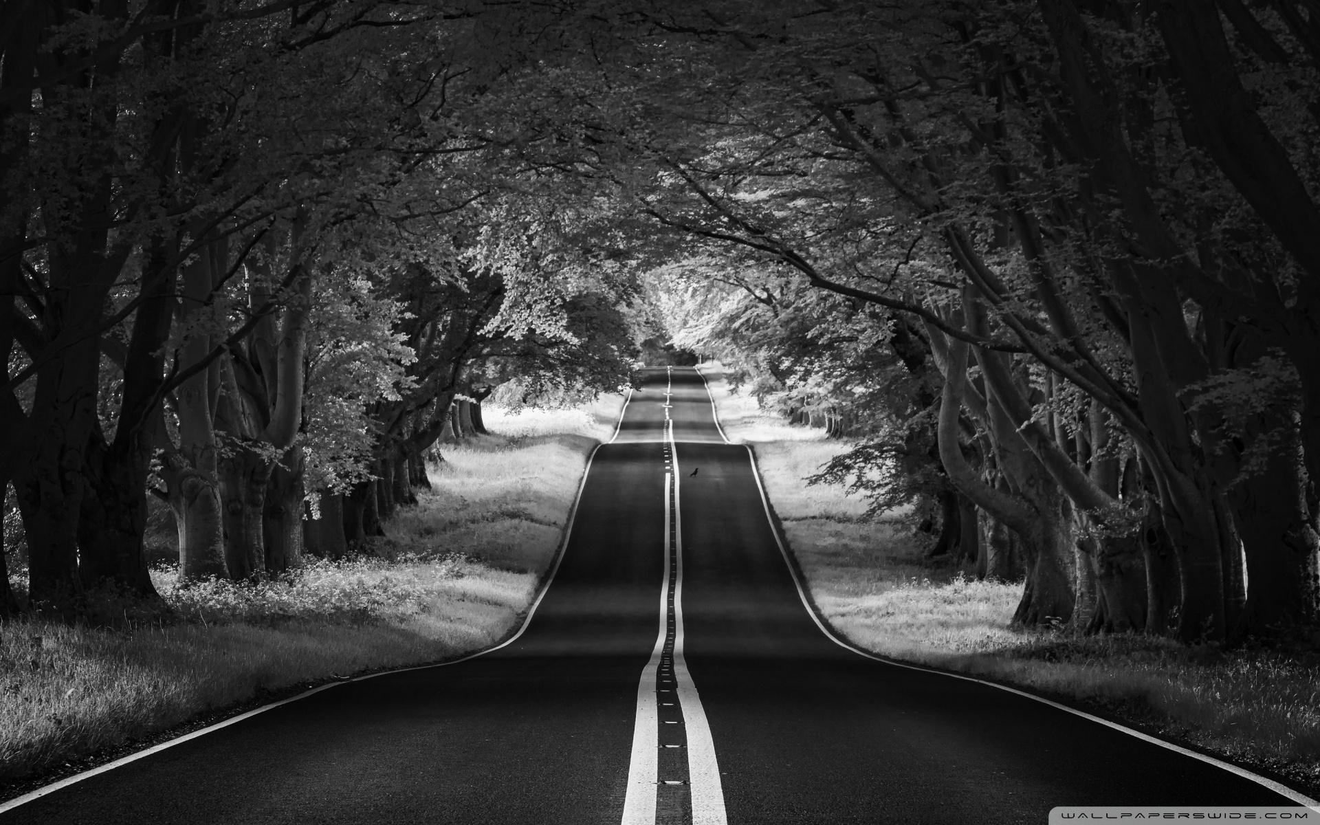 1920x1200 Road Landscape, Aesthetic, Black and White Ultra HD Desktop Background Wallpaper for 4K UHD TV : Widescreen & UltraWide Desktop & Laptop : Tablet