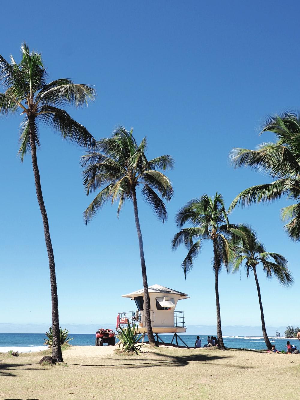 1000x1333 Honolulu Picture. Download Free Image