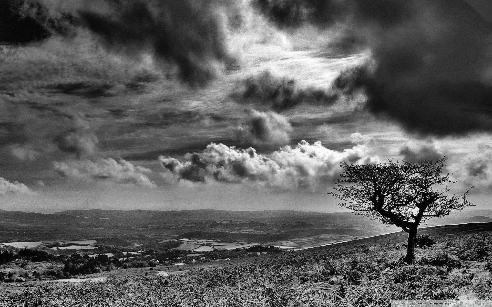 1920x1200 Black and White Desktop Wallpaper