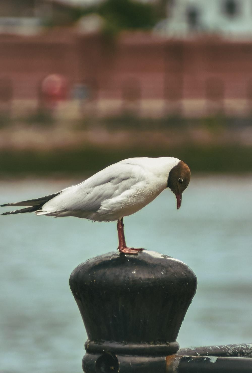 1000x1481 Belfast, Northern Ireland Picture. Download Free Image
