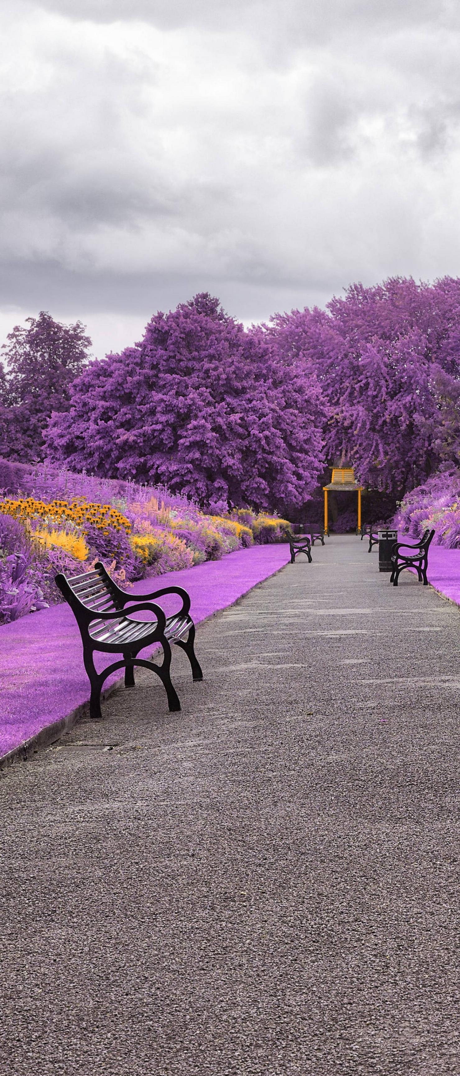 1480x3456 Belfast Botanic Gardens in Northern Ireland 1644x3840 Resolution Wallpaper, HD City 4K Wallpaper, Image, Photo and Background