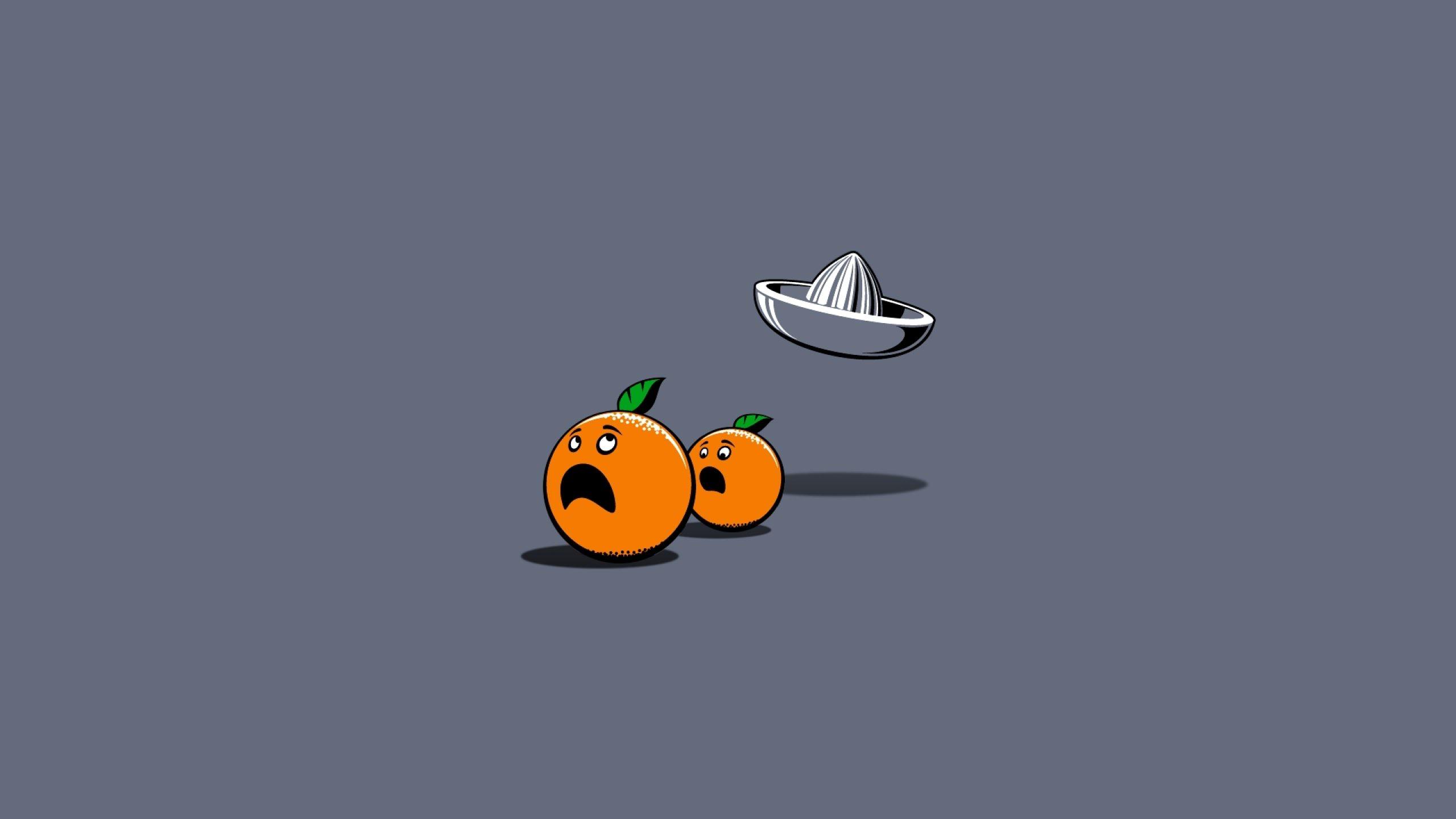 2560x1440 Funny food wallpaper HD for desktop background