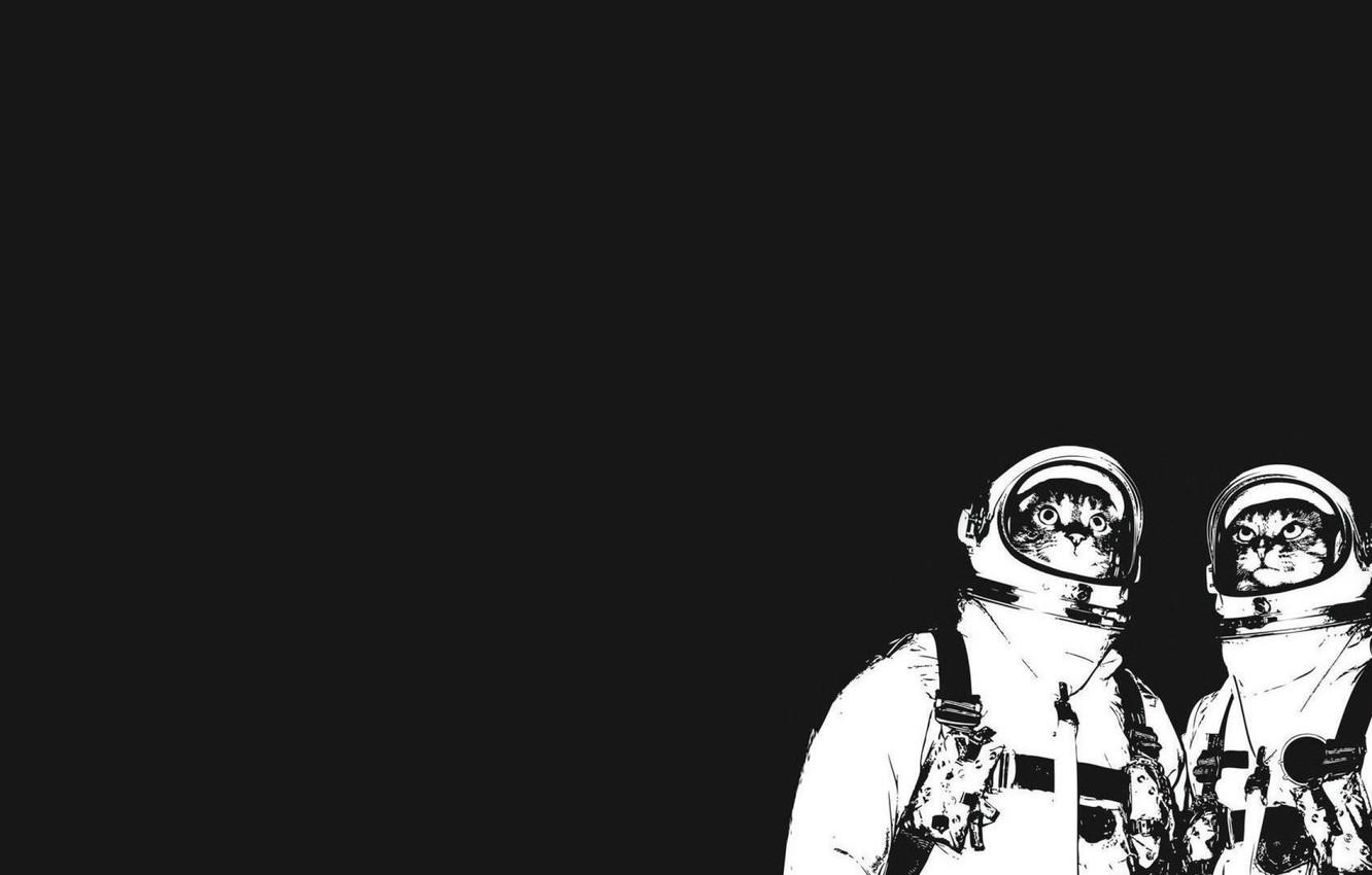 1332x850 Wallpaper Look, Cats, Black And White, Suits, Astronauts image for desktop, section кошки