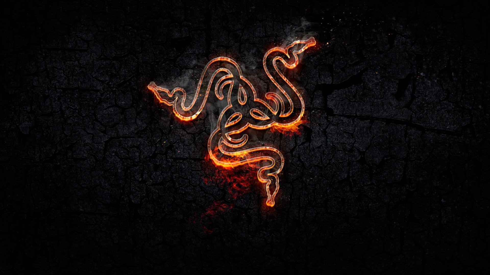 1920x1080 HD wallpaper: Razer Inc., logo, snake, Gaming Series, orange