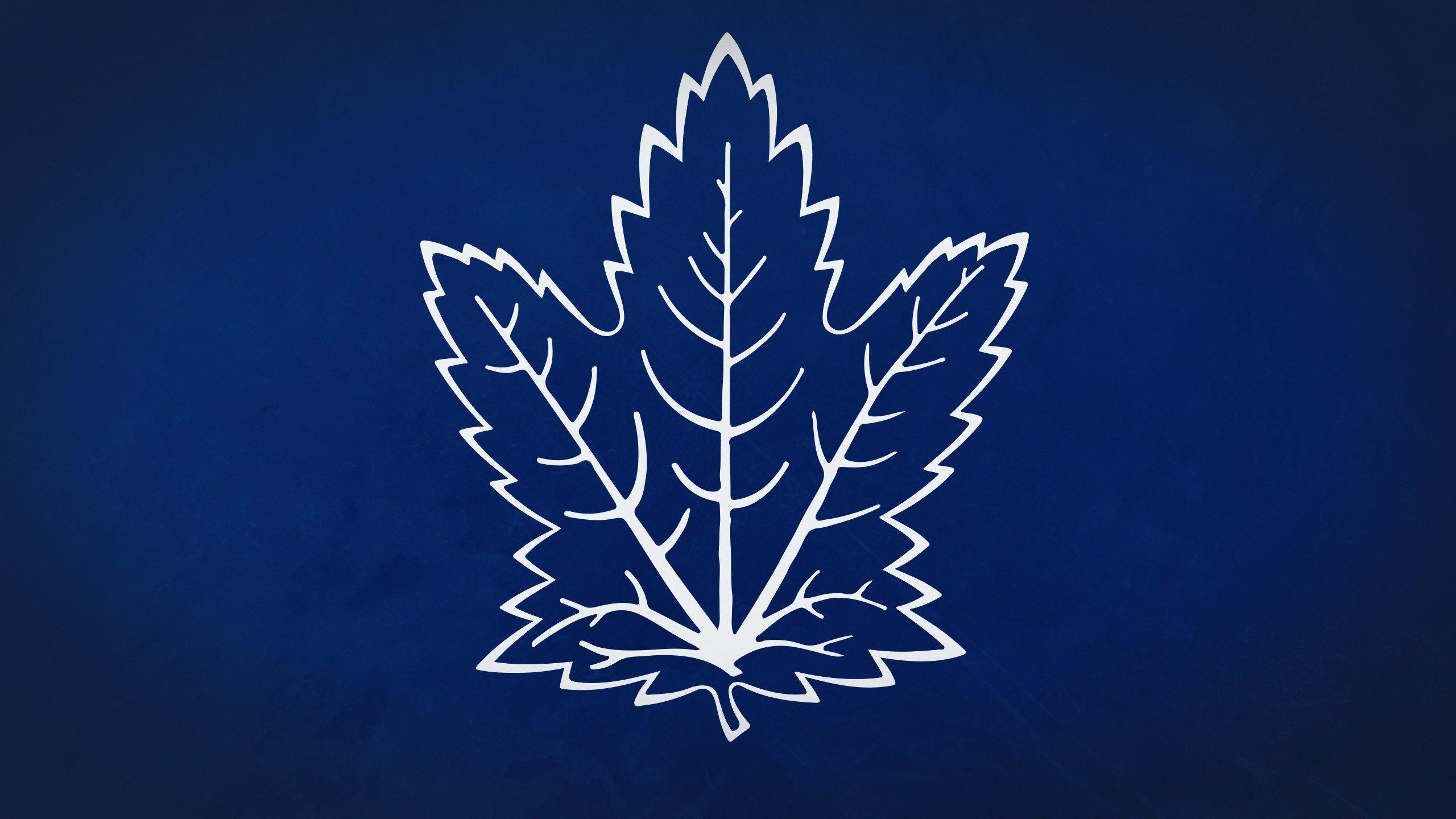 2560x1440 Toronto Maple Leafs wallpaper 2560x1440 desktop background