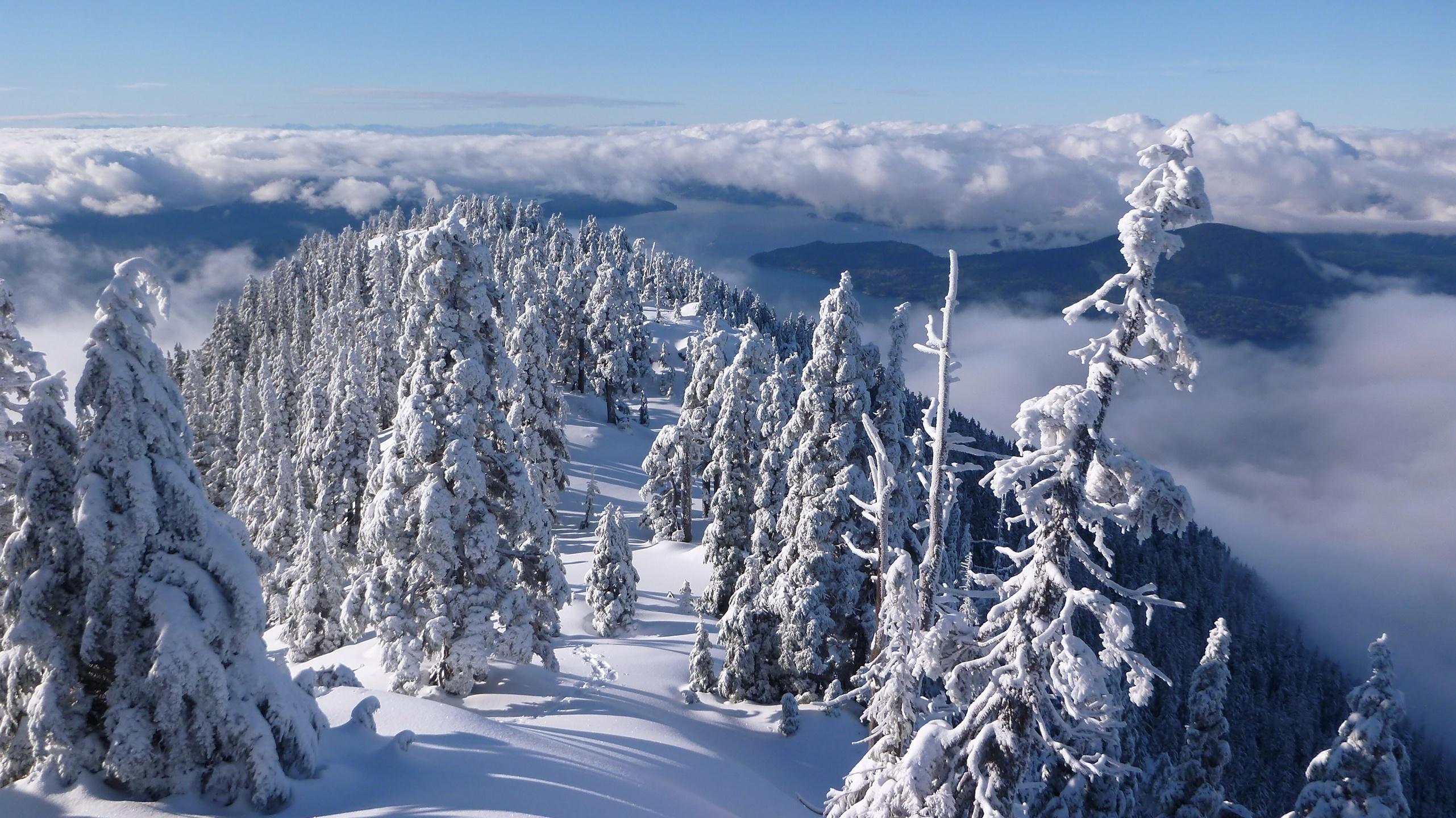 2562x1440 Wallpaper. Winter. photo. picture. nature, landscape, mountains, Strait, vancouver