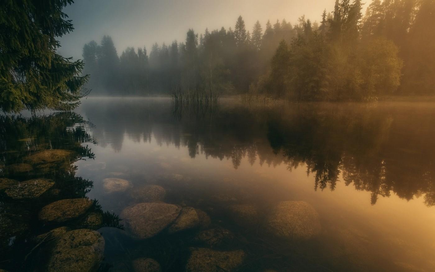 1400x875 #sauna, #Kirkkonummi, #lake, #Lake Tampaja, #trees, #landscape, #Tampaja, #water, #forest, #nature, #reflection, #Finland, wallpaper. Mocah HD Wallpaper