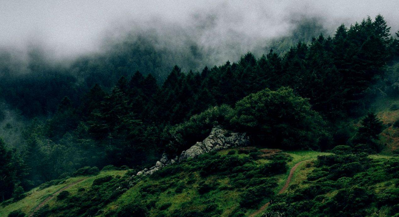1270x691 Na25 Nature Mountain Green Mac Wallpaper Pinterest Aesthetic Wallpaper Laptop