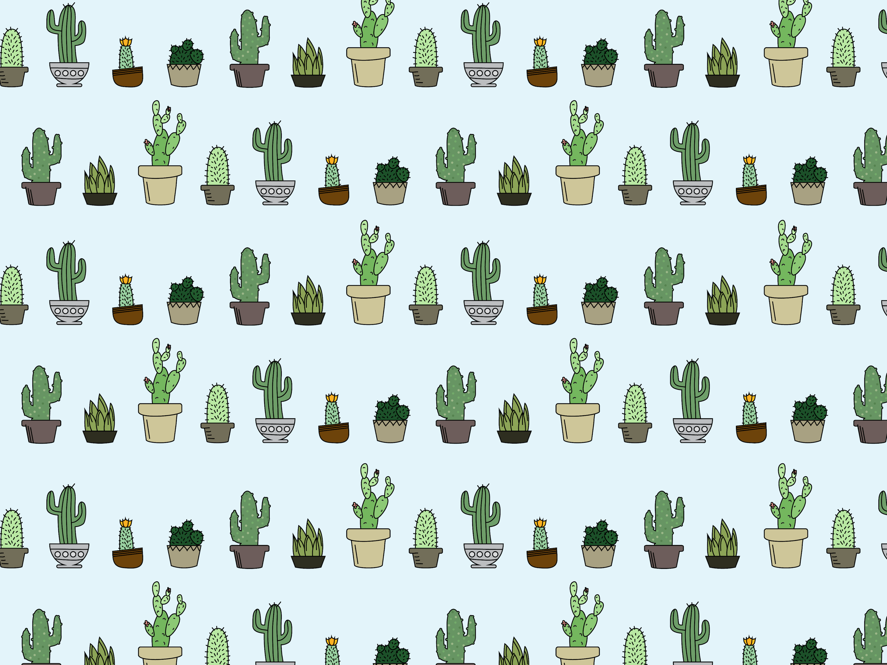 3000x2250 Succulent Aesthetic Desktop Wallpaper