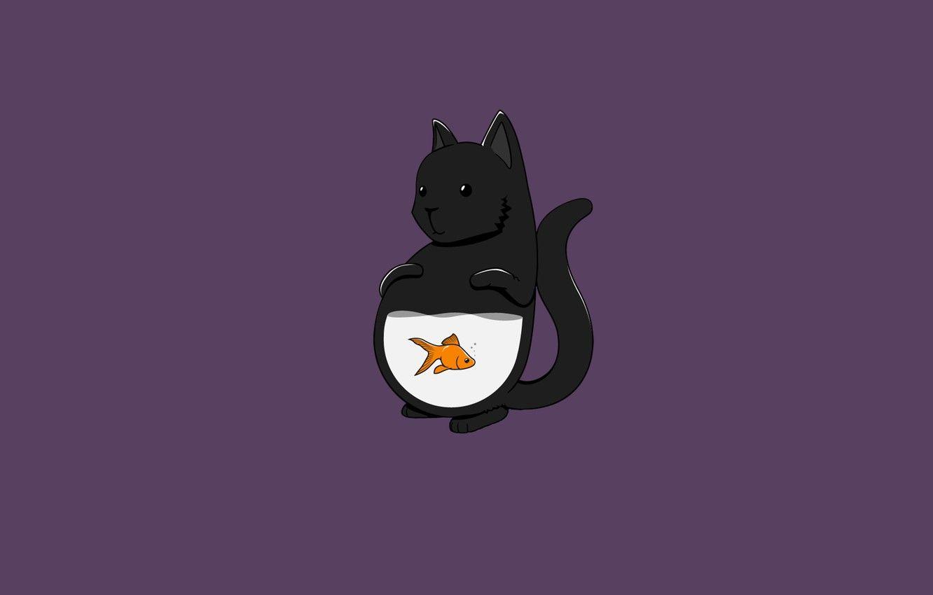 1332x850 Black Cat Minimalist Wallpaper