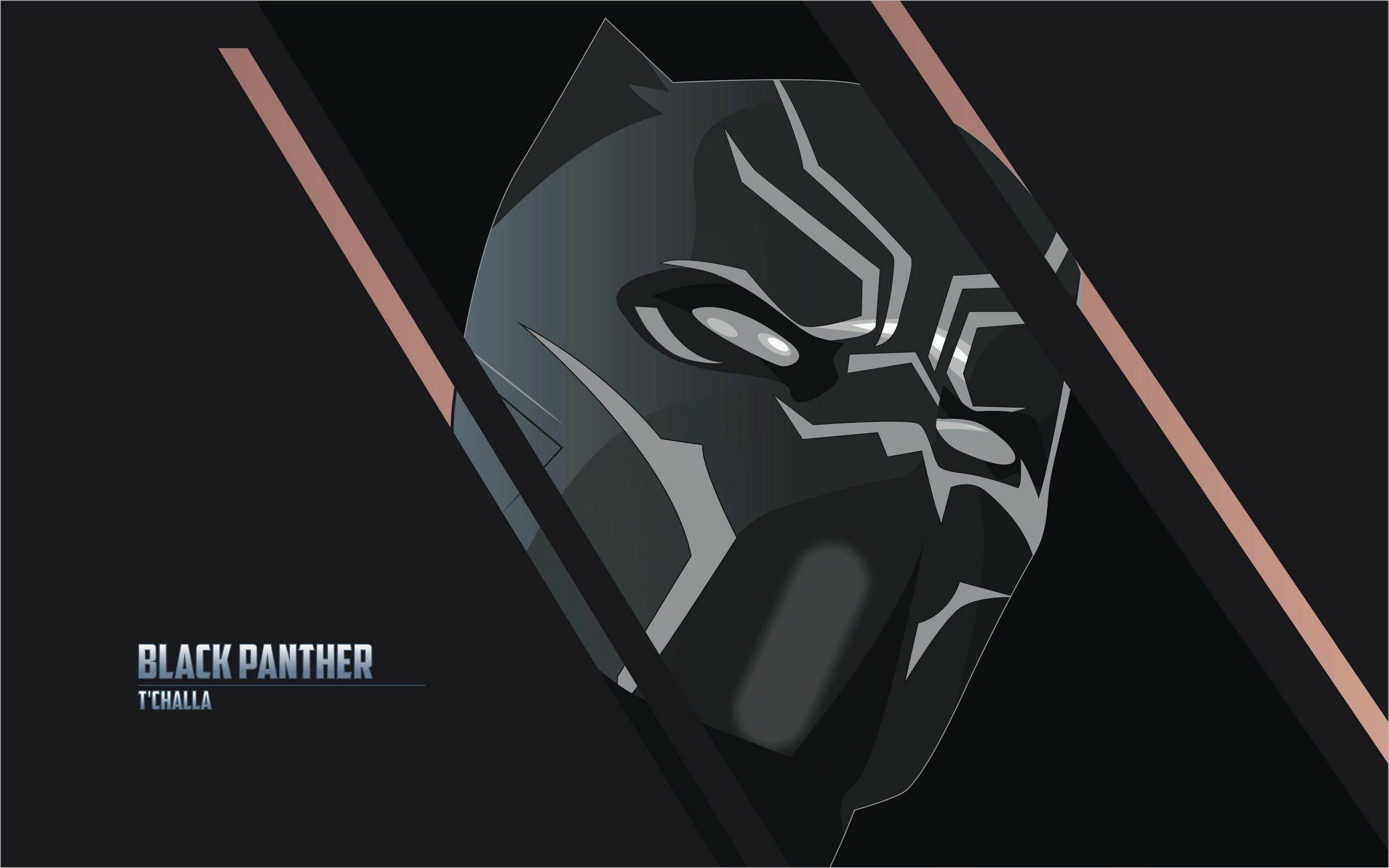 2560x1601 Black Panther HD Wallpaper For Laptop