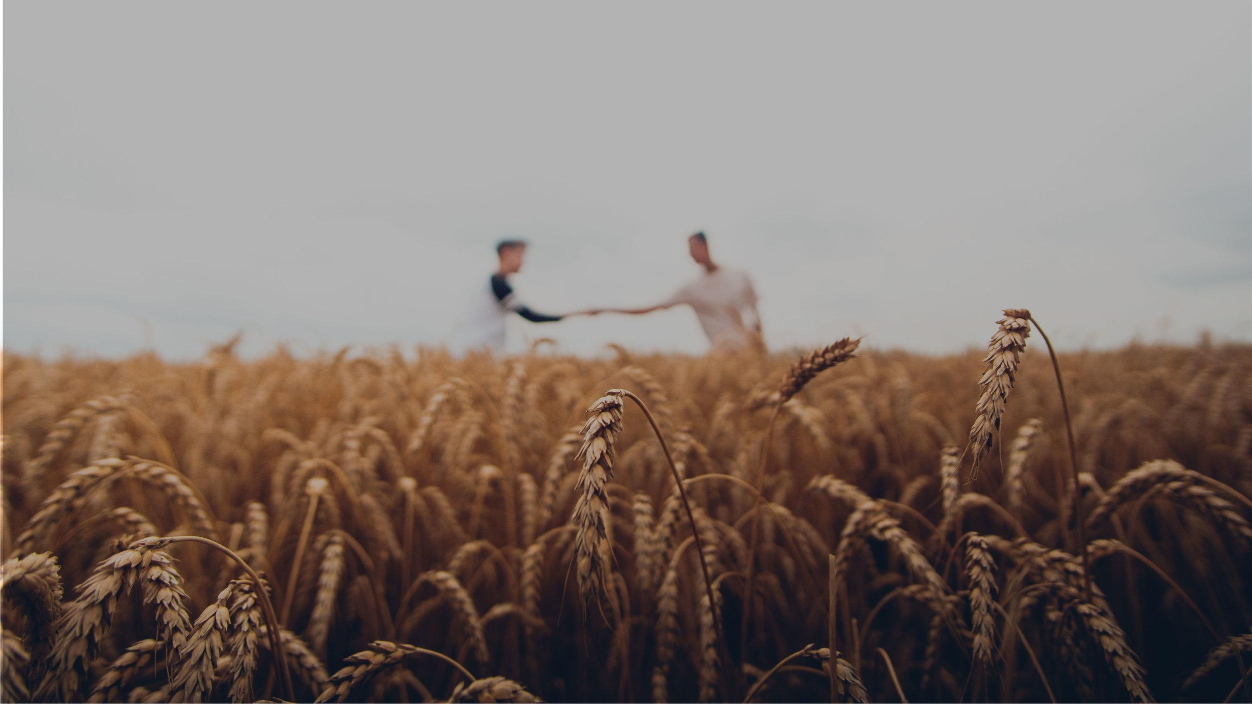 2500x1407 What is Evangelism?
