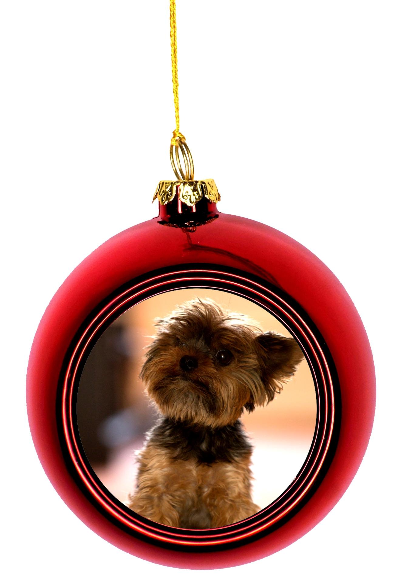 1321x1933 Ornaments Yorkie Yorkshire Terrier Puppy Dog Bauble Christmas Ornaments Red Bauble Tree Xmas
