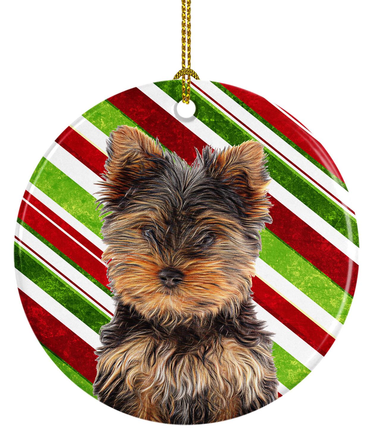 Christmas Yorkie Wallpapers - Top Free Christmas Yorkie Backgrounds